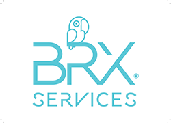 BRX Services DMC