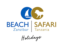 Beach Safari
