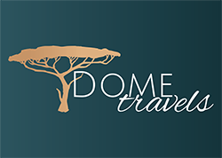 Dome Travels