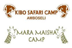 Kibo Safari Camp and Mara Maisha Camp