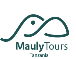 Mauly Tours and Safaris
